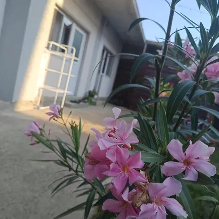 Гостевой дом Casa Karina