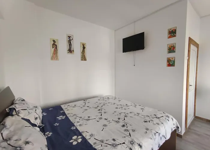 Pensjonat Casa Karina Costinesti