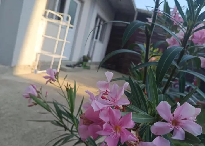 Pensjonat Casa Karina